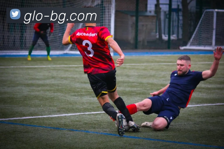 BG大游官网服务体系